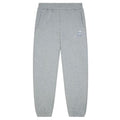 Banlieue Chrome Trainingsbroek Grijs