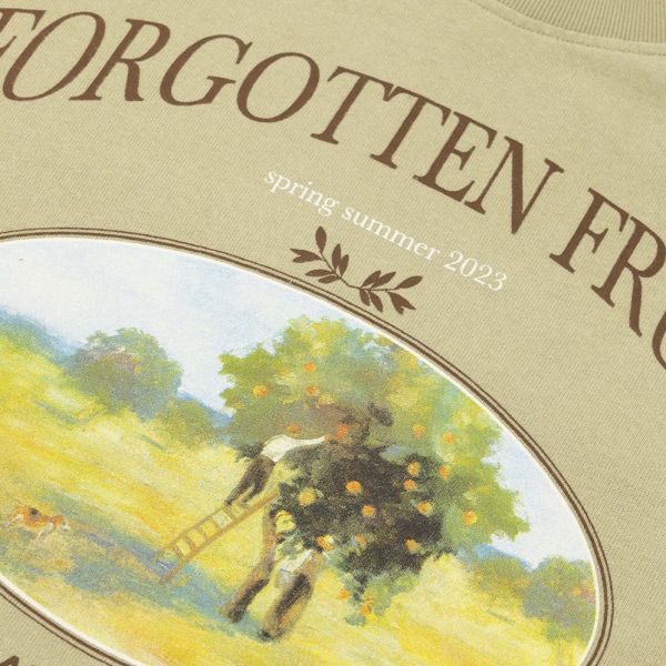 Bram's Fruit Forgotten Fruits Harvest T-shirt Licht Groen