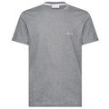 Calvin Klein Logo T-shirt Grijs