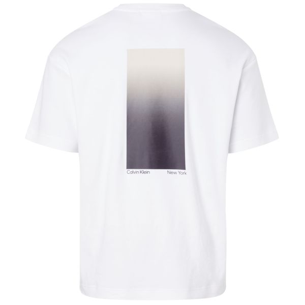 Calvin Klein Ombre Back Print T-shirt Wit