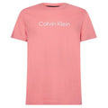 Calvin Klein Raised Striped Logo T-shirt Roze