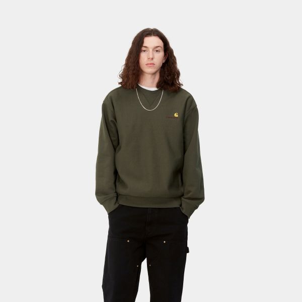 Carhartt American Script Sweater Donker Groen