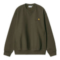 Carhartt American Script Sweater Donker Groen