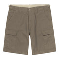 Carhartt Aviation Korte Broek Bruin