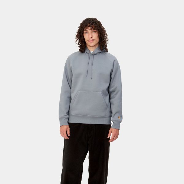 Carhartt Chase Hoodie Grijs/Blauw