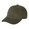 Carhartt Harlem Cap Donker Groen