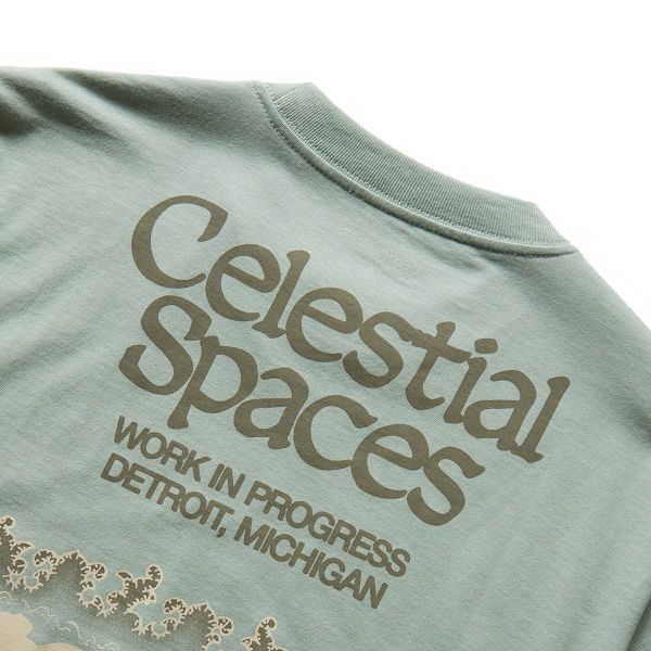 Carhartt Spaces T-shirt Licht Groen