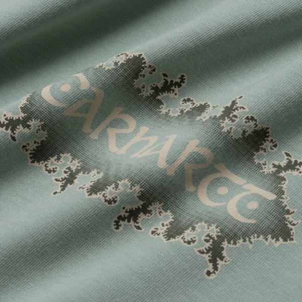 Carhartt Spaces T-shirt Licht Groen