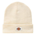 Dickies Gibsland Muts Off White