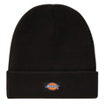 Dickies Gibsland Muts Zwart