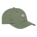 Dickies Hardwick Cap Groen