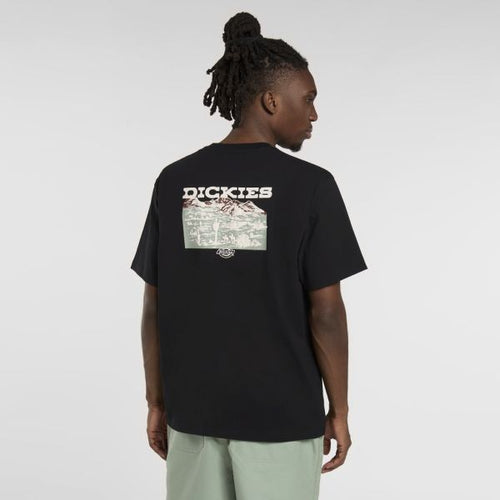 Dickies Landscape T-shirt Zwart