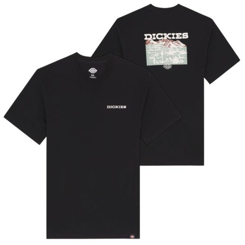 Dickies Landscape T-shirt Zwart