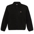 Dickies Mount Hope Fleece Vest Zwart