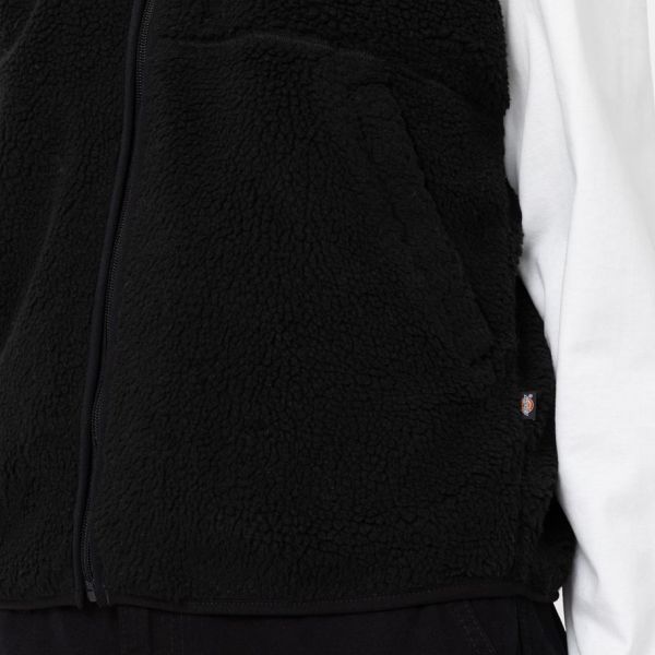 Dickies Mount Hope Vest Zwart