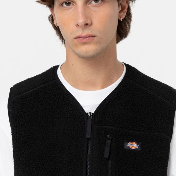 Dickies Mount Hope Vest Zwart