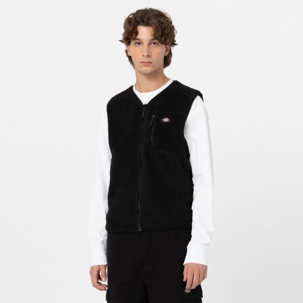 Dickies Mount Hope Vest Zwart