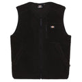 Dickies Mount Hope Vest Zwart
