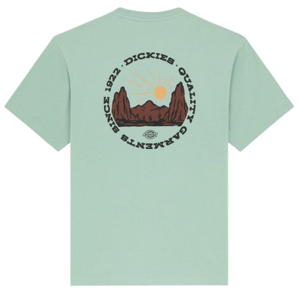 Dickies Outdoor T-shirt Groen