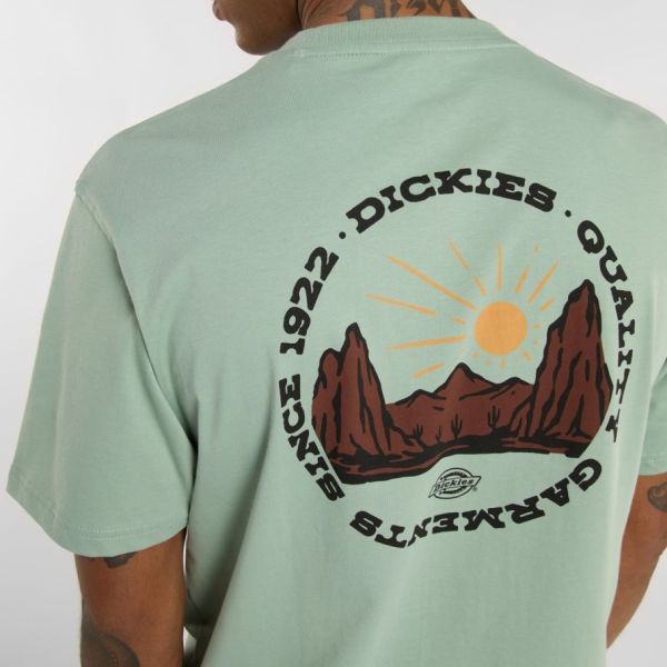 Dickies Outdoor T-shirt Groen