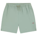 Dickies Pelican Rapids Korte Broek Groen