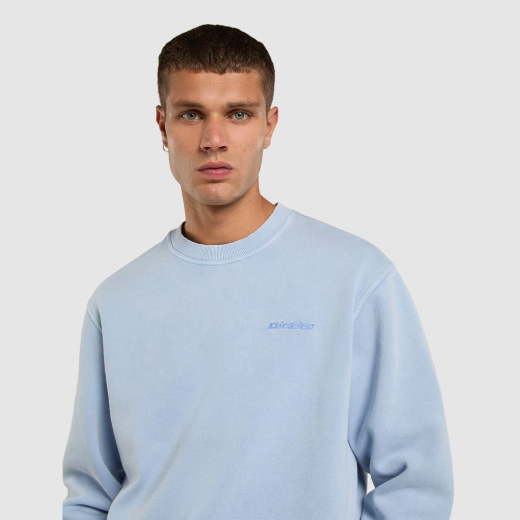 Dickies Plentywood Sweater Licht Blauw