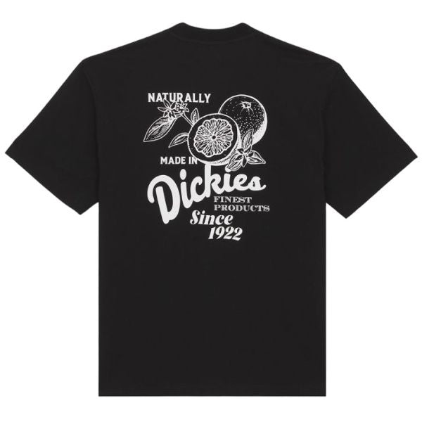 Dickies Raven T-shirt Zwart
