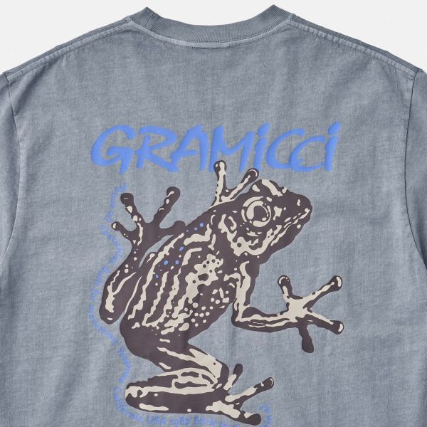 Gramicci Sticky Frog T-shirt Grijs