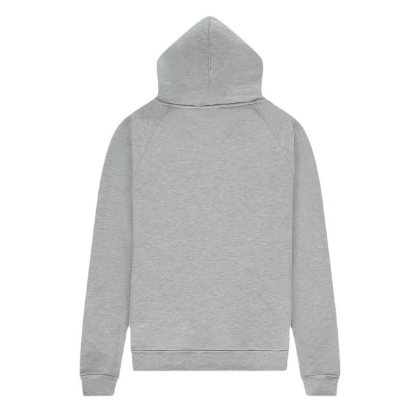 In Gold We Trust The Expension Hoodie Grijs