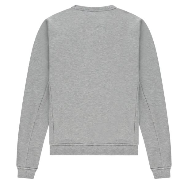 in gold we trust the lifetime sweater grijs