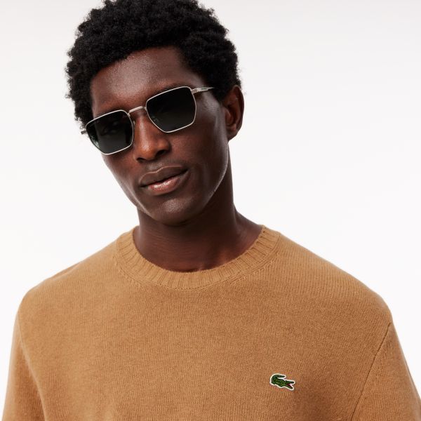 Lacoste Knitted Sweater Bruin