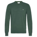 Lacoste Pullover Sweater Groen