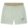 Malelions Venetian Zwembroek Licht Groen