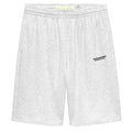 New Amsterdam Surf Association Flow Korte Broek Grijs