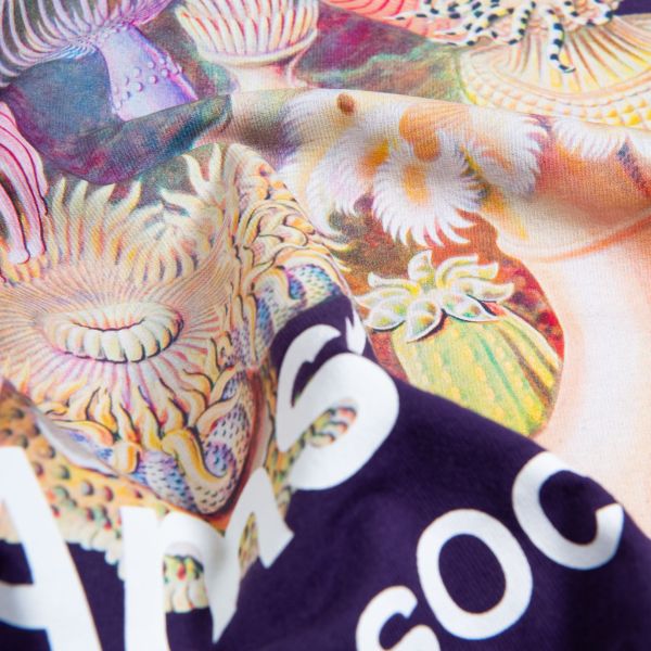 New Amsterdam Surf Association Anemone T-shirt Paars