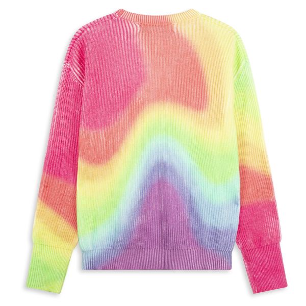 New Amsterdam Surf Association Secure Windmap Sweater Meerkleurig