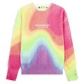 New Amsterdam Surf Association Secure Windmap Sweater Meerkleurig