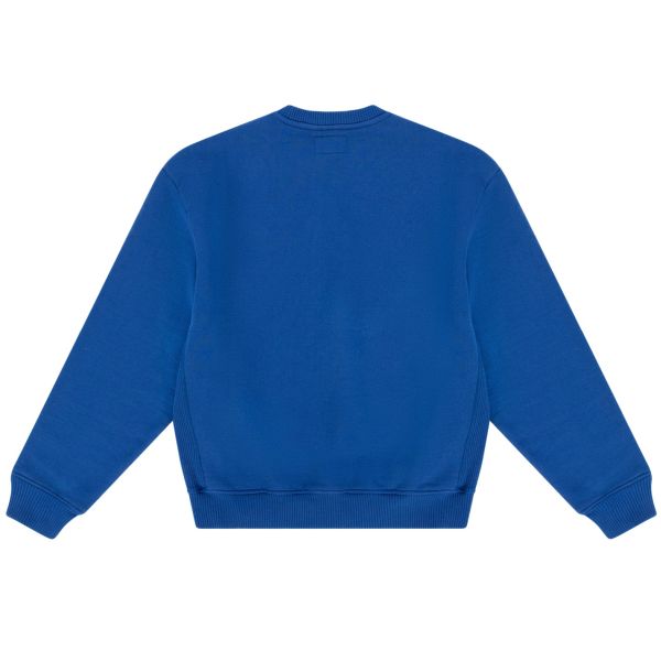 PAL Sporting Goods New TM Sweater Blauw