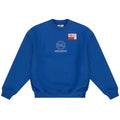 PAL Sporting Goods New TM Sweater Blauw