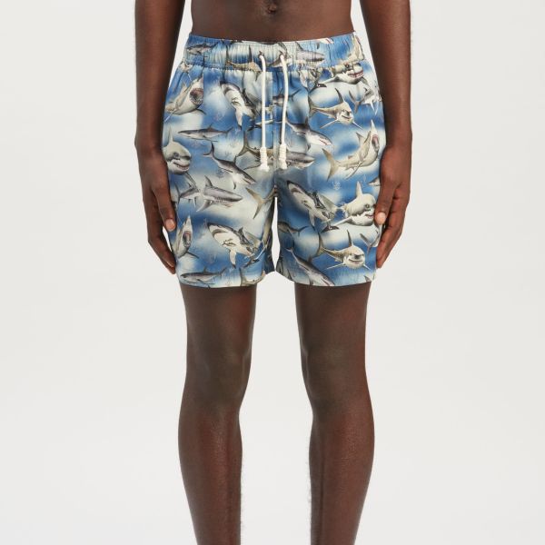 Palm Angels Sharks Zwembroek Blauw