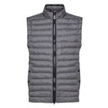 Peuterey Moise Bodywarmer Grijs