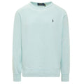 Ralph Lauren Pullover Sweater Blauw