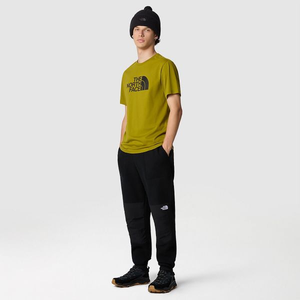 The North Face Easy T-shirt Groen