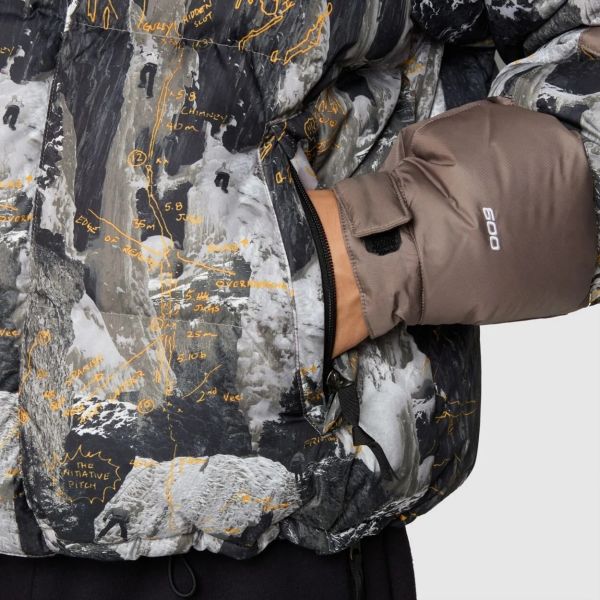 The North Face Himalayan Baltoro Jas Grijs