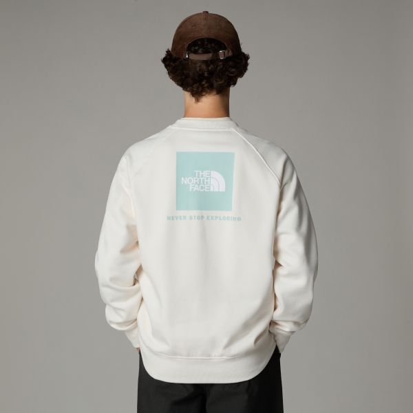 The North Face Raglan Redbox Sweater Wit
