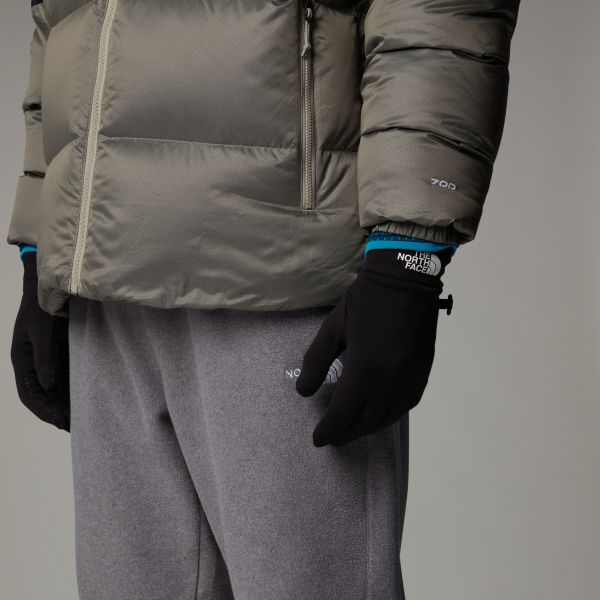 The North Face Rino Handschoenen Zwart