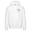 Tommy Hilfiger Arched Varsity Hoodie Wit