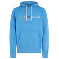 Tommy Hilfiger Logo Hoodie Blauw