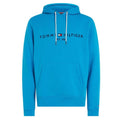 Tommy Hilfiger Logo Hoodie Blauw