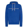 Tommy Hilfiger Logo Hoodie Blauw